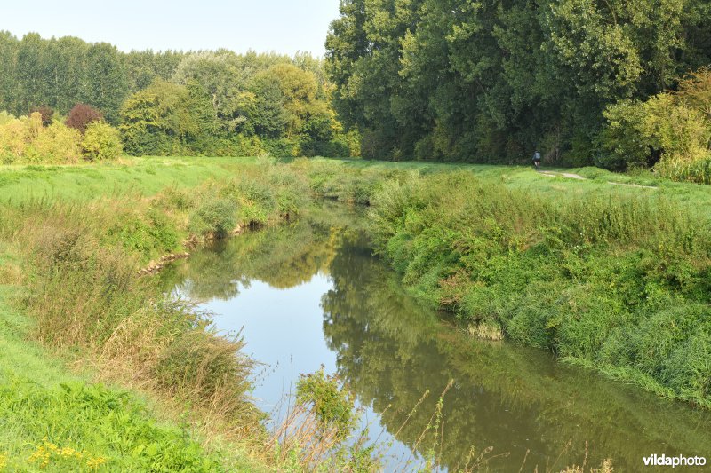 Demer aan de Vinkenberg