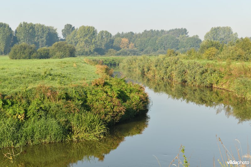 Vallei van de Demer 