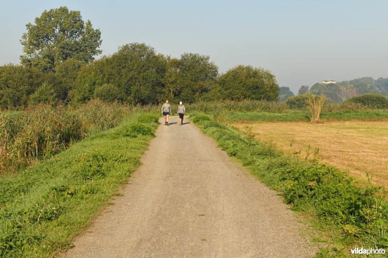 Jaagpad langs de Demer 