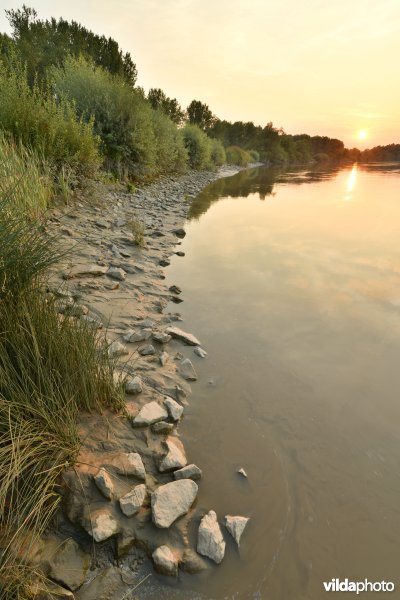 Schelde aan het Vlassenbroek