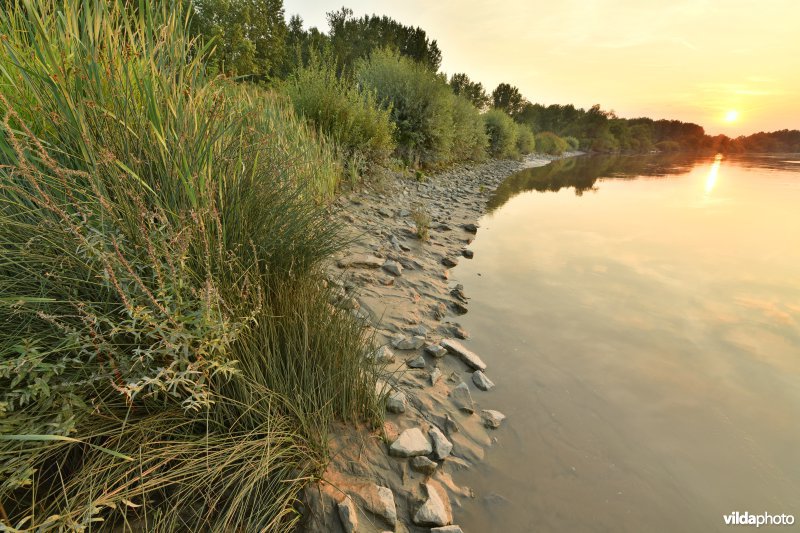 Schelde aan het Vlassenbroek