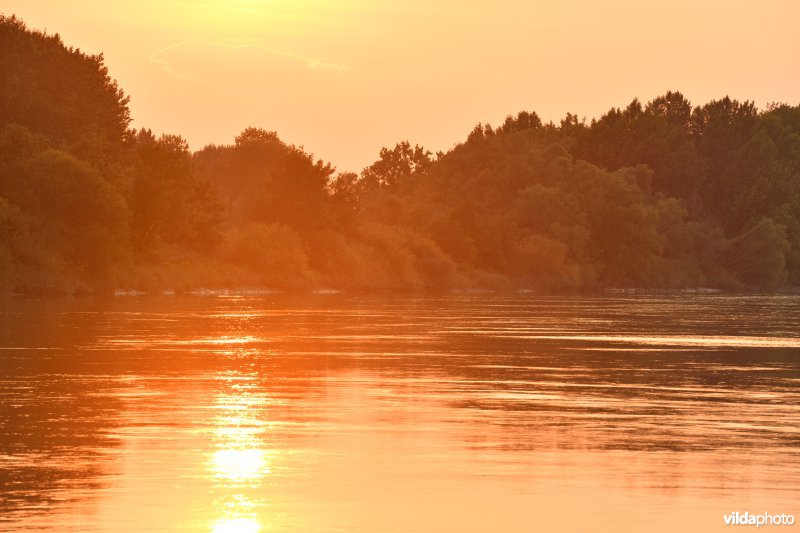 Schelde aan het Vlassenbroek