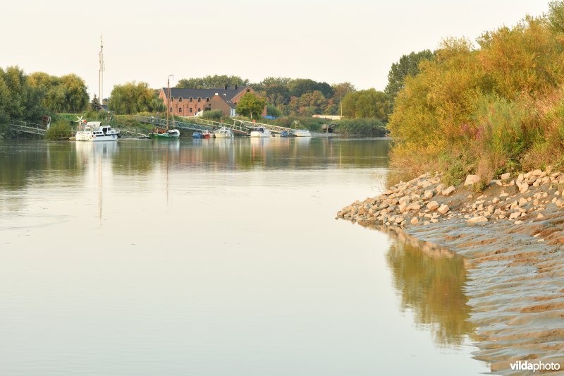 Schelde aan het Vlassenbroek