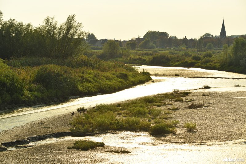 Bergenmeersen