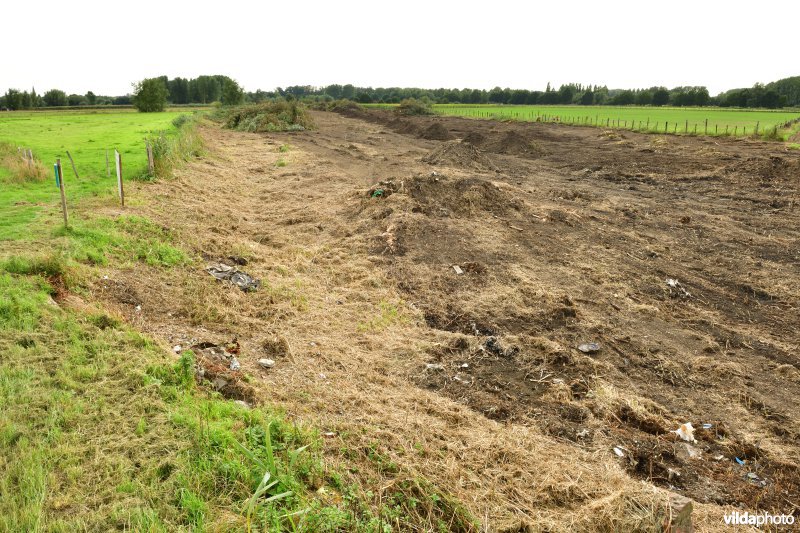 Oude Schelde in de Kalkense meersen