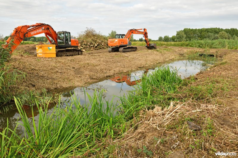 Oude Schelde in de Kalkense meersen