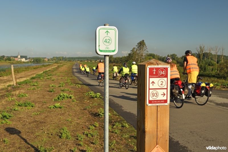 Fietsers langs de Schelde in Wijmeers