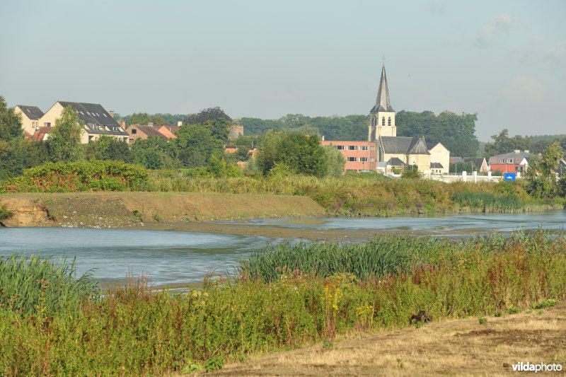 Wijmeers in de Kalkense meersen