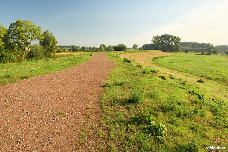 Wijmeers in de Kalkense meersen