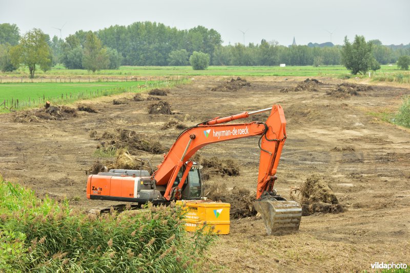 Oude Schelde in de Kalkense meersen