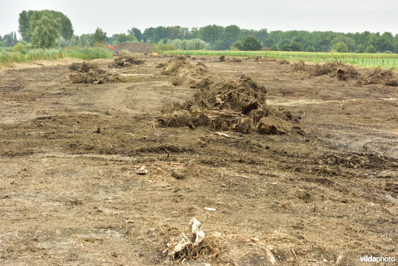 Oude Schelde in de Kalkense meersen