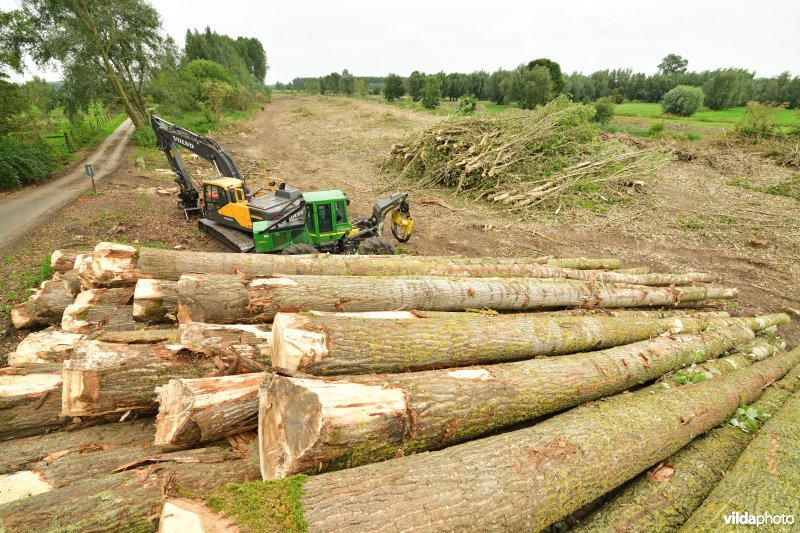 Oude Schelde in de Kalkense meersen