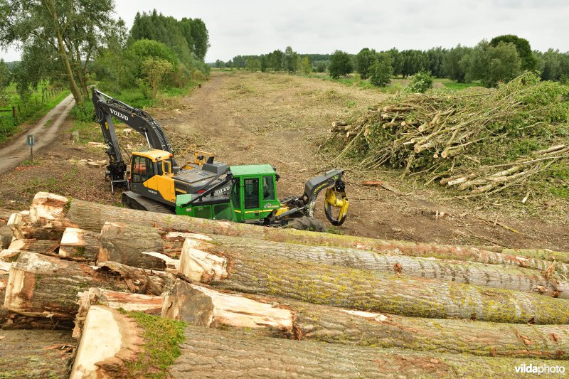 Oude Schelde in de Kalkense meersen