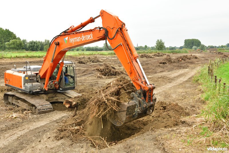 Oude Schelde in de Kalkense meersen