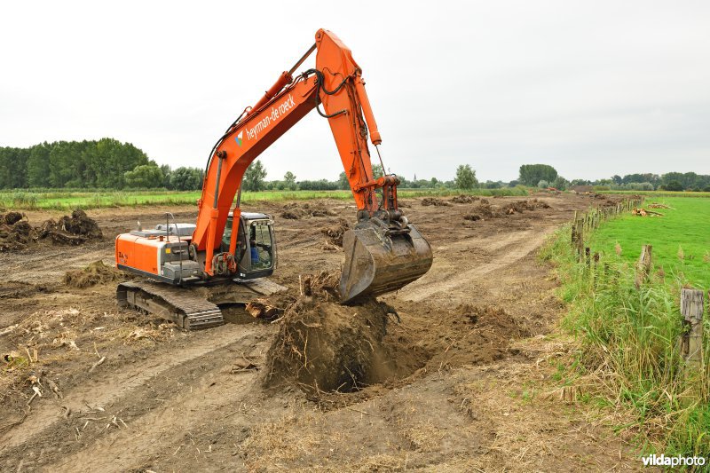 Oude Schelde in de Kalkense meersen