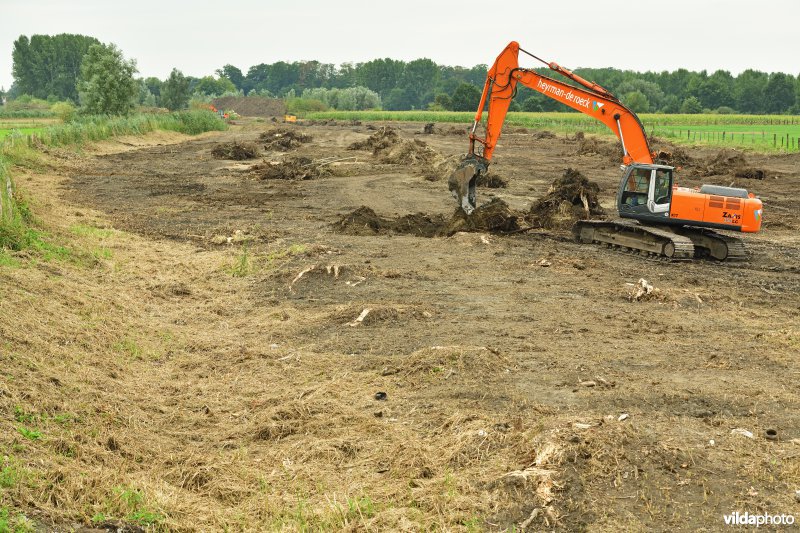 Oude Schelde in de Kalkense meersen