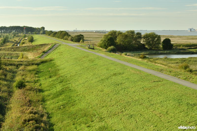 Hedwige- en Prosperpolder