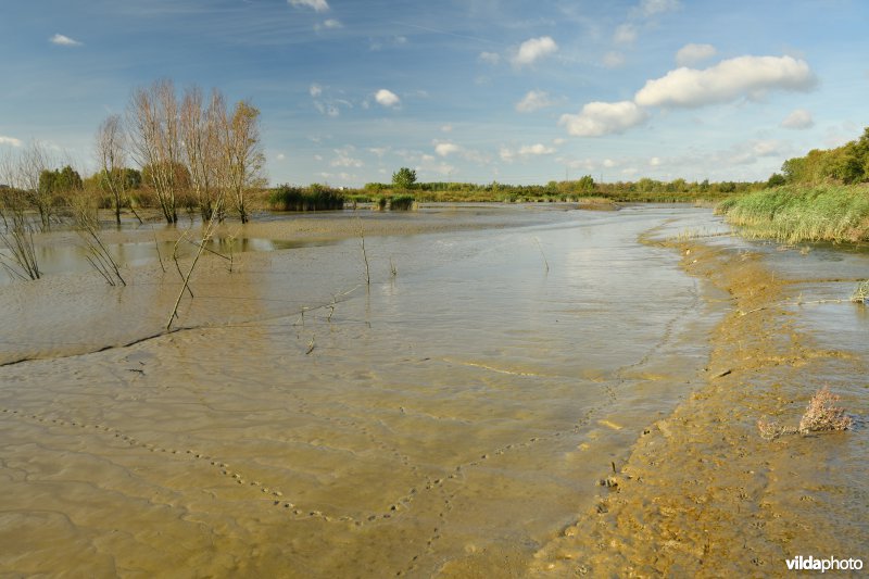 Fasseitpolder