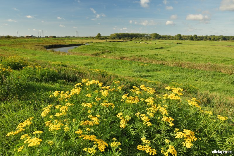 KBR polder