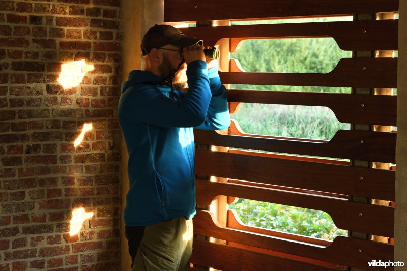 Vogels observen vanuit het Coninckshofke