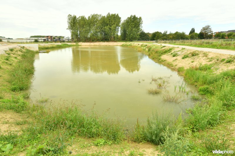 Klein Broek in Temse