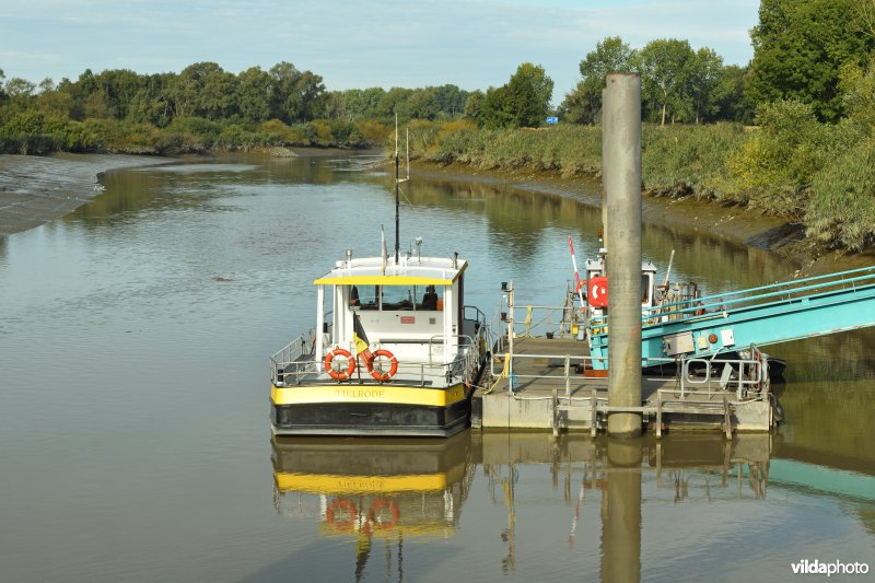 Overzetboot aan de Durme te Tielrode