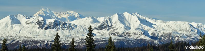 Denali nationaal park