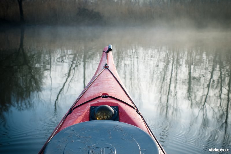 Kanovaren in De Biesbosch