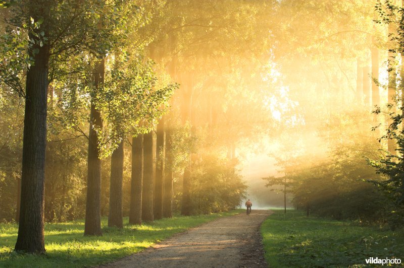 Fietser in het natuurreservaat de Kevie