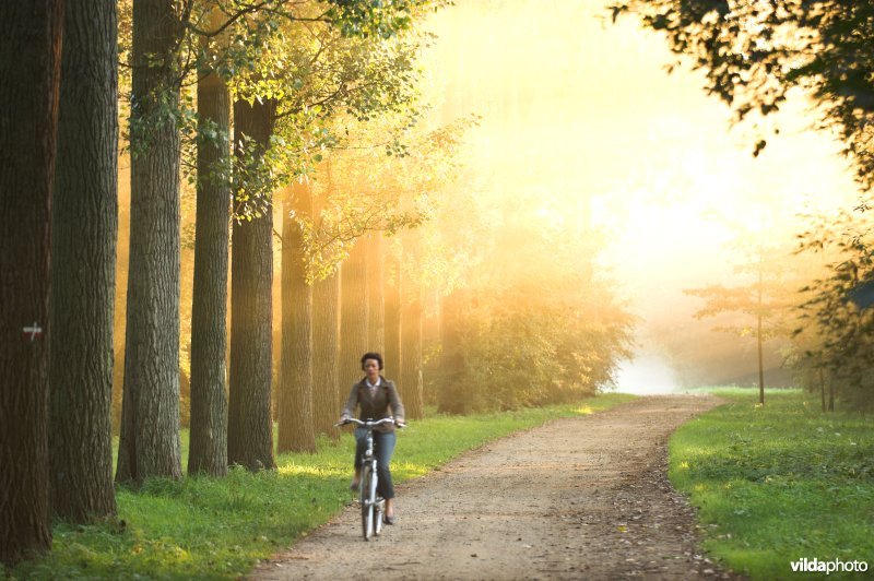 Fietsen in het natuurreservaat de Kevie
