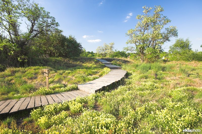 Natuurreservaat Ile aux Corsaires