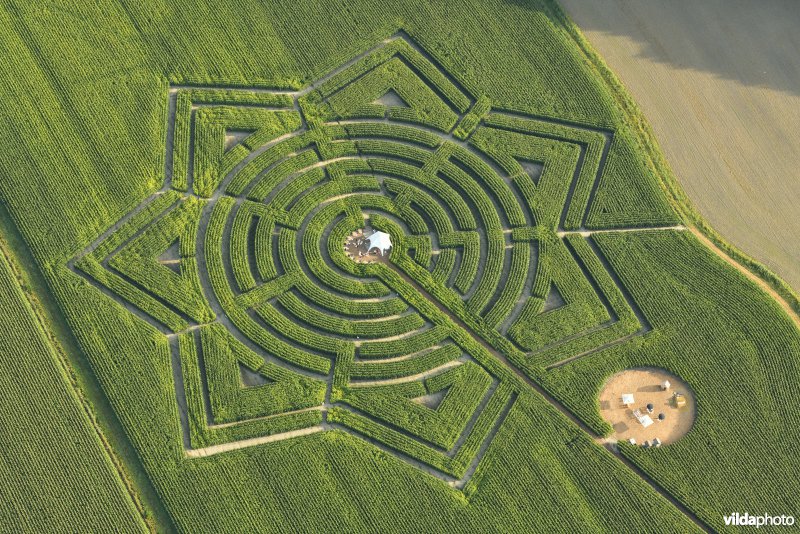 Maïsdoolhof in Damme