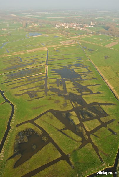 Romboutswerve in Damme