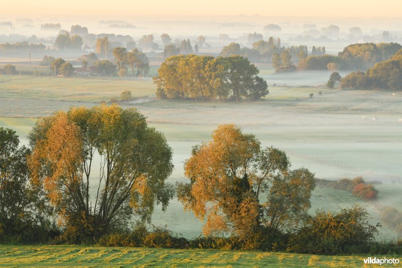 Zwartemolenhoek in Dranouter
