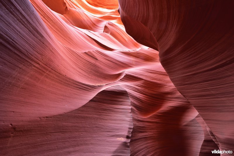 Antelope Canyon in Arizona