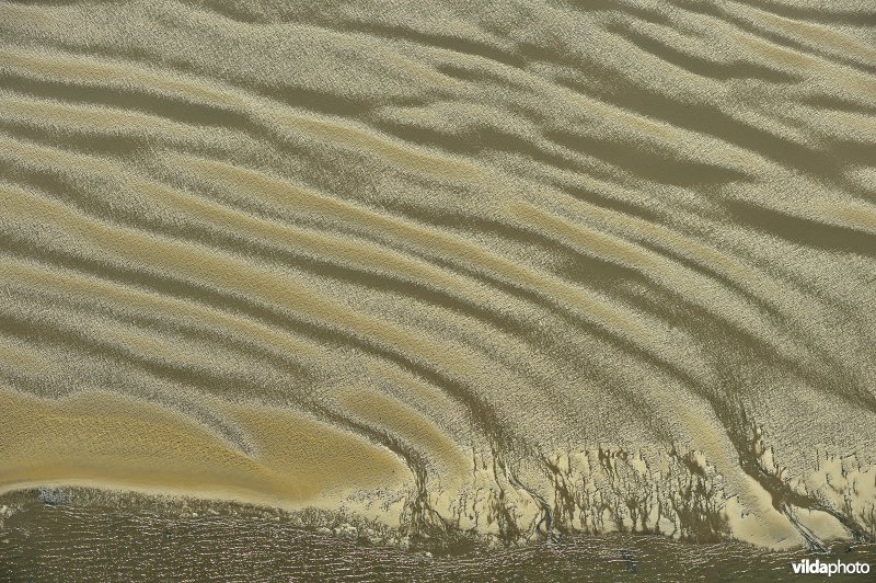 Geulen op het wad