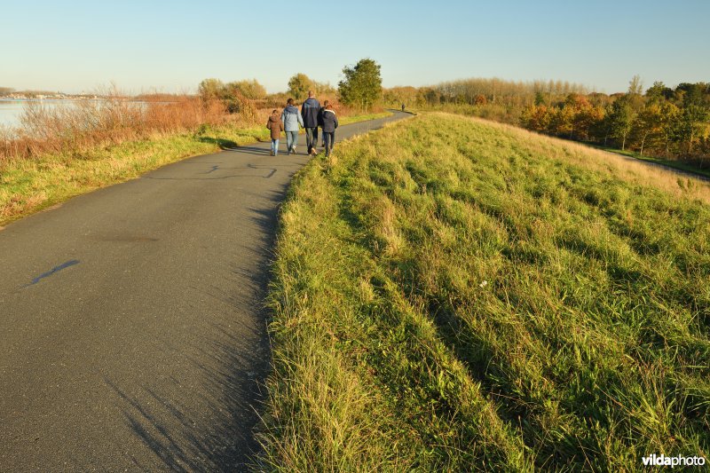 Groot Schoor in Hingene (R)