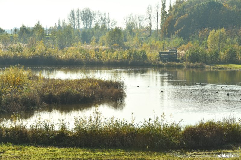 KBR polder: Schiphoekpolder
