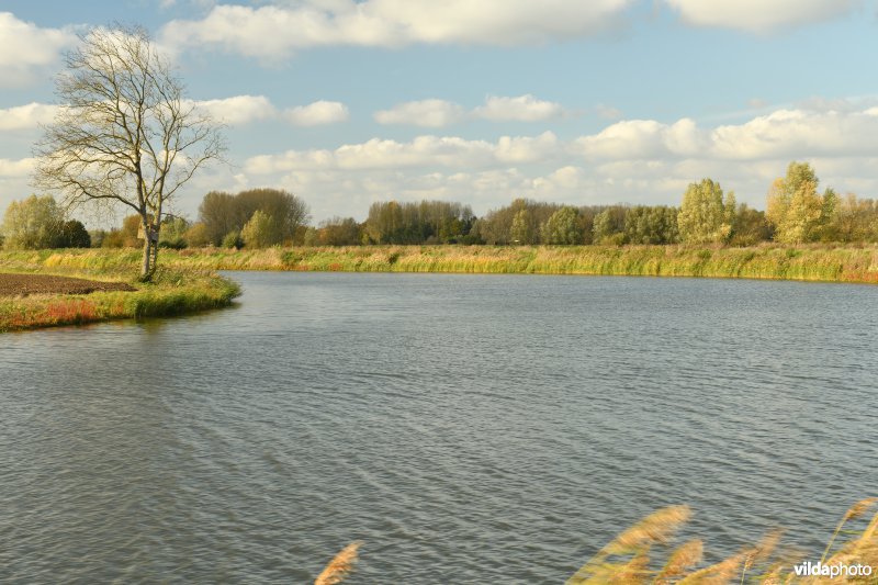 Oude Schelde in de Kalkense Meersen (R)