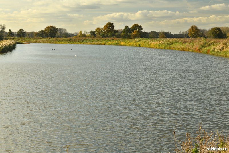 Oude Schelde in de Kalkense Meersen (R)