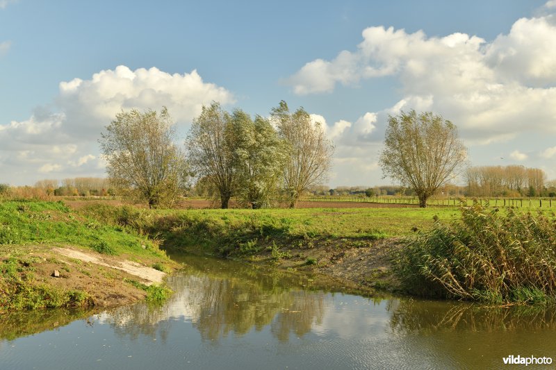 Monding van de Oude Schelde in de Kalkenvaart
