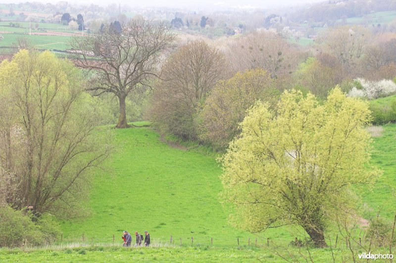 Wandelen in de Voerstreek