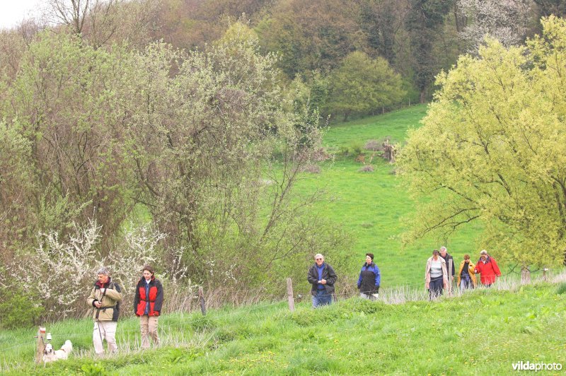 Wandelen in de Voerstreek