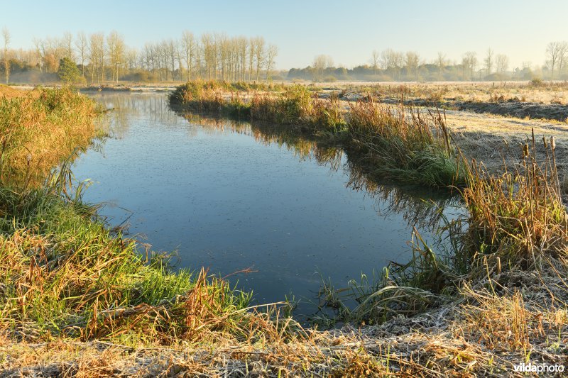 Demerbroeken