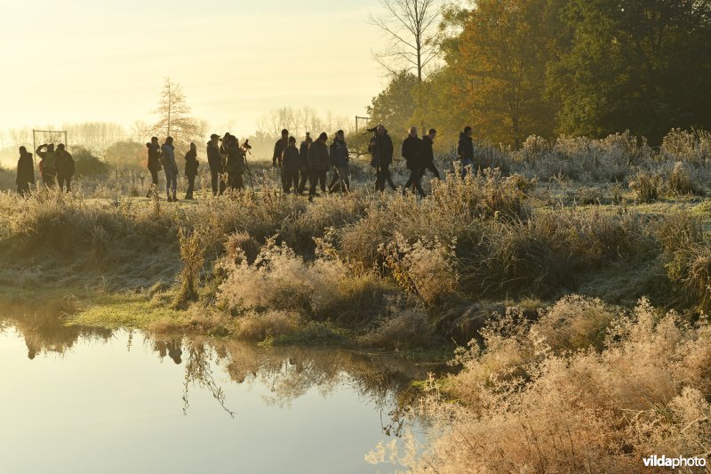 Wandelaars in de Demerbroeken