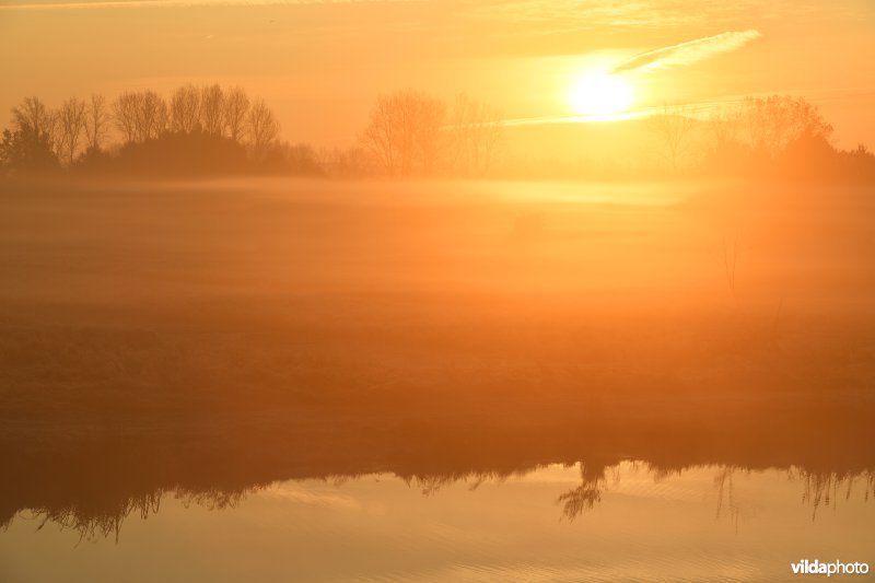 Zonsopgang aan de Demerbroeken