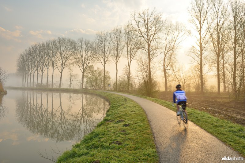 Koersfietser op het jaagpad van de Dender