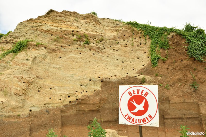 Waarschuwingsbordje bij Oeverzwaluwkolonie