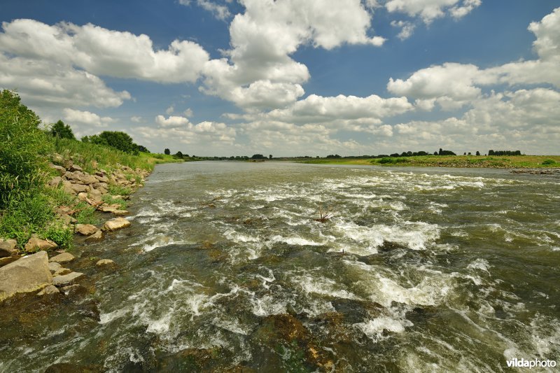 Stroomversnellingen op de Maas