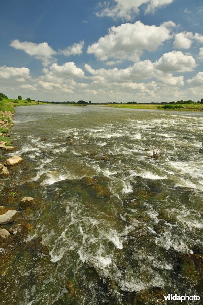 Stroomversnellingen op de Maas